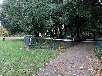 Homeless man changes plea to g...